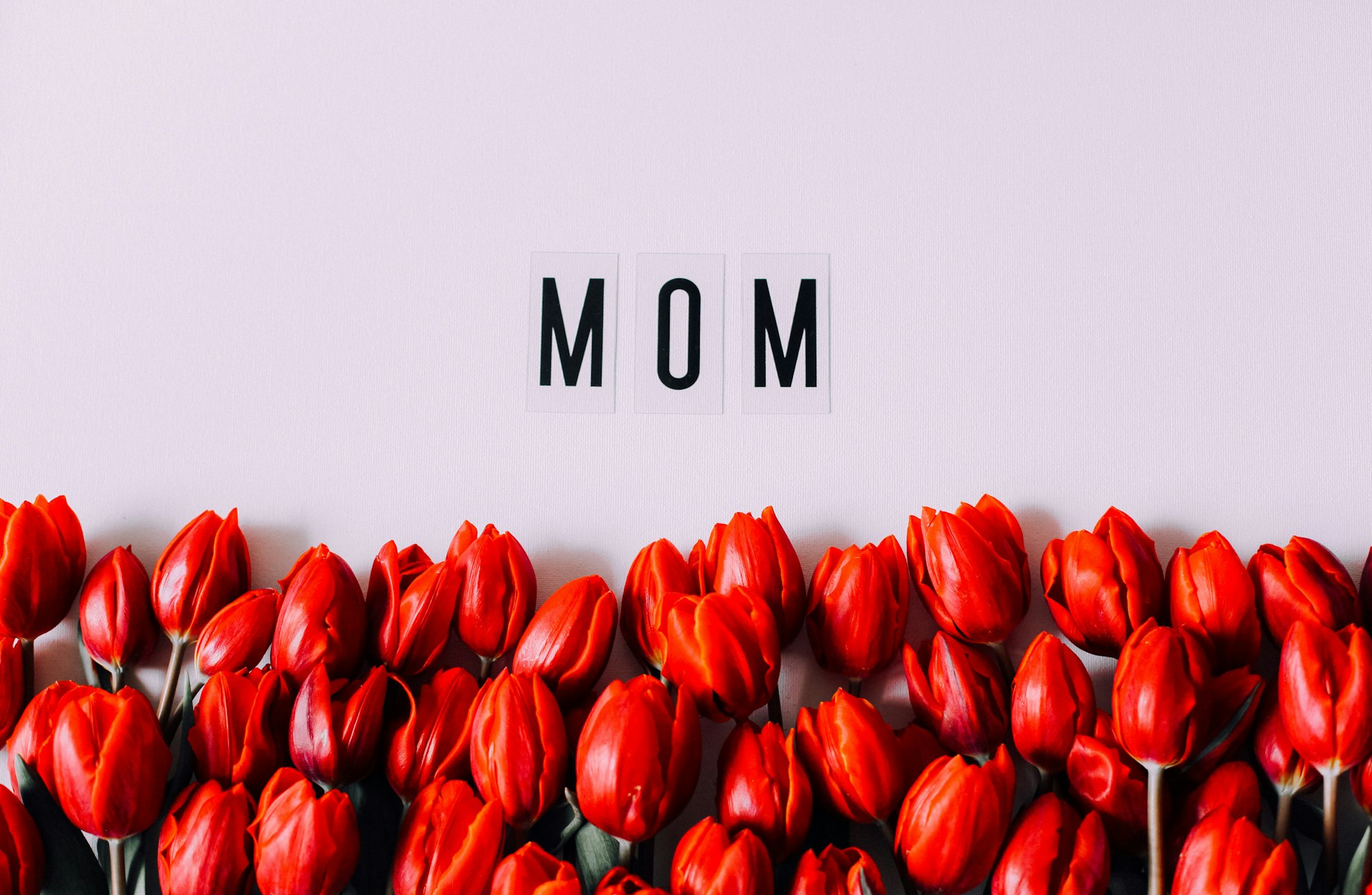 Happy Mother’s Day and red tulips , mom